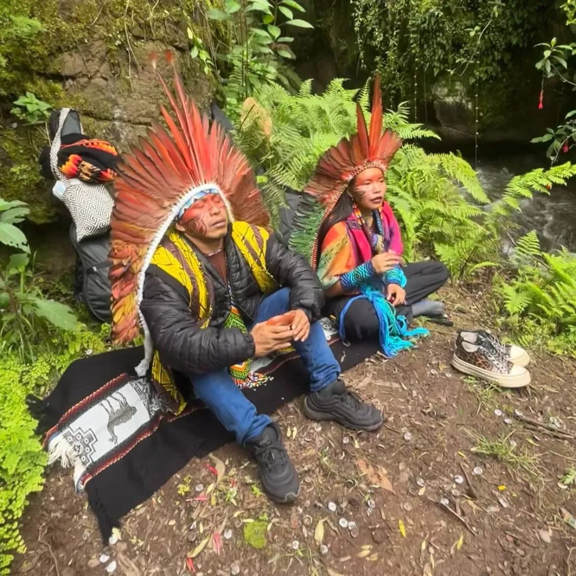 Indigenous